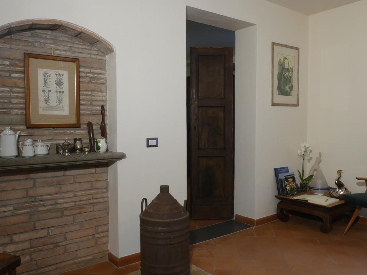 Bed and Breakfast Helichrysum à Vinci Extérieur photo