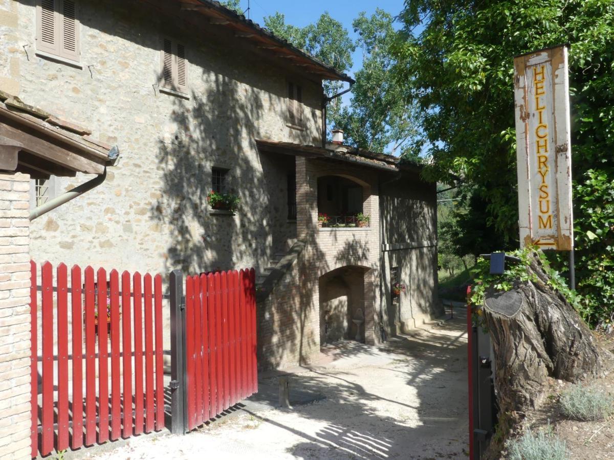 Bed and Breakfast Helichrysum à Vinci Extérieur photo