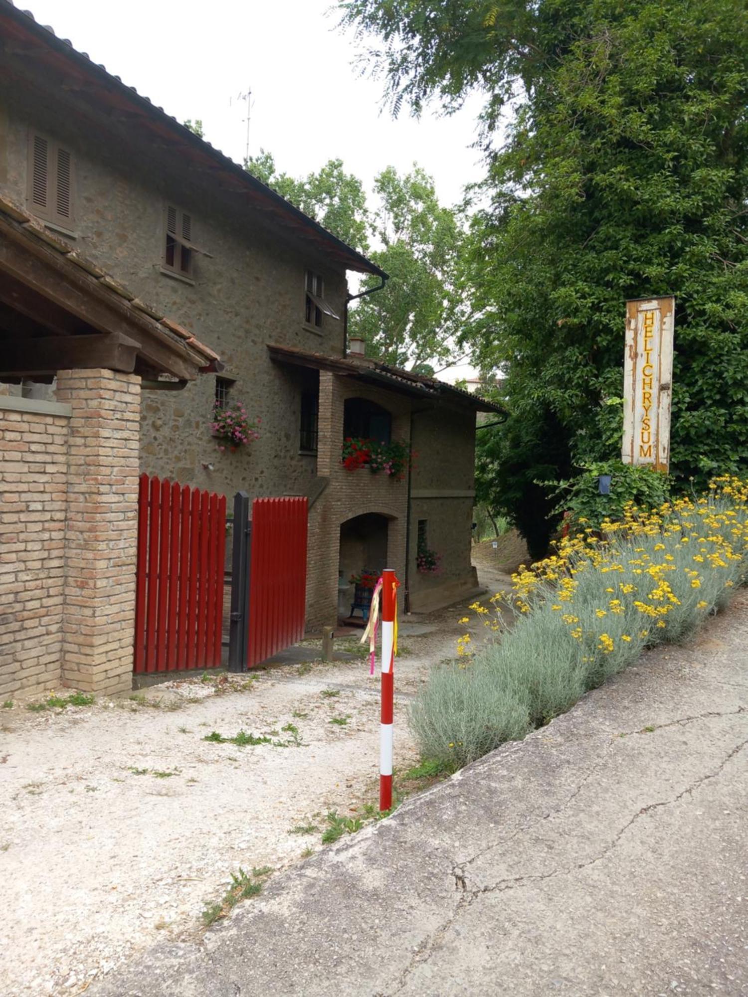 Bed and Breakfast Helichrysum à Vinci Extérieur photo