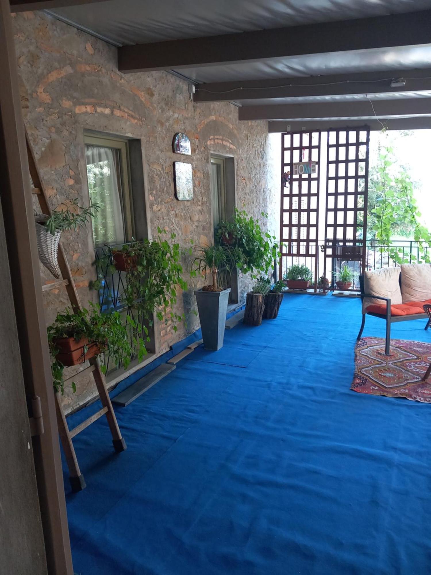 Bed and Breakfast Helichrysum à Vinci Extérieur photo