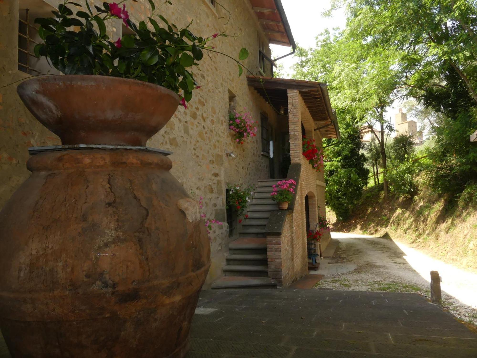Bed and Breakfast Helichrysum à Vinci Extérieur photo