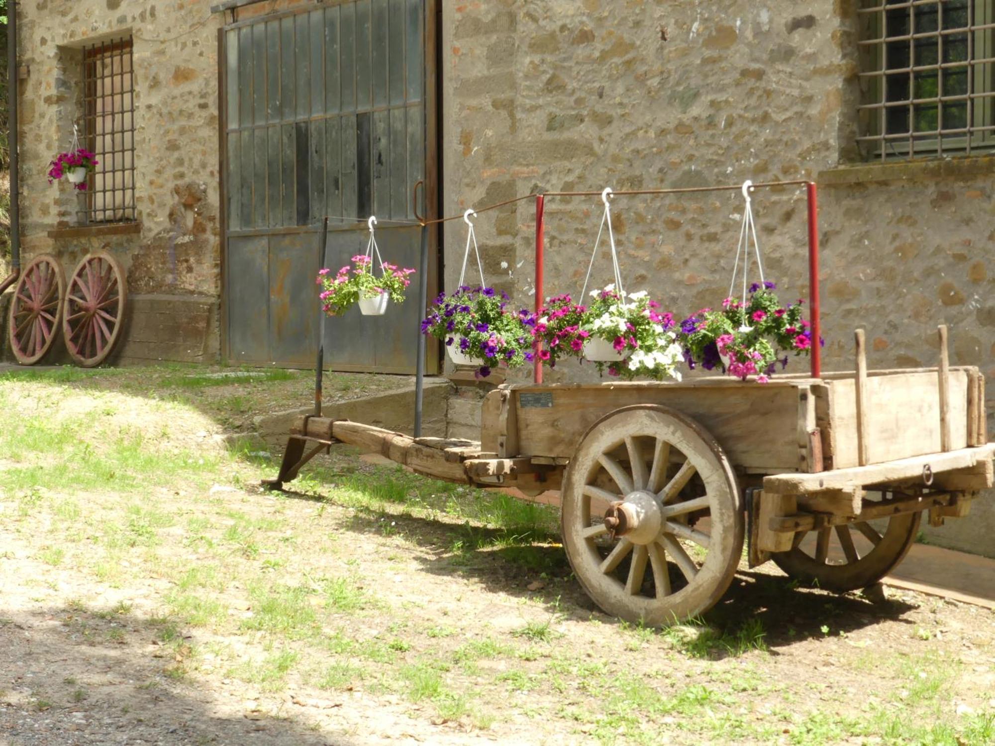 Bed and Breakfast Helichrysum à Vinci Extérieur photo
