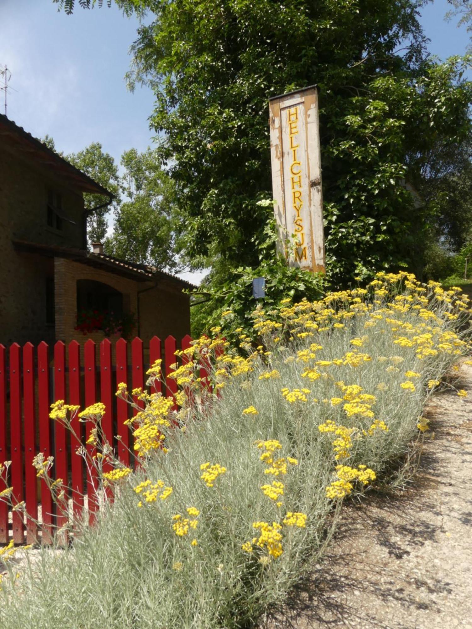 Bed and Breakfast Helichrysum à Vinci Extérieur photo